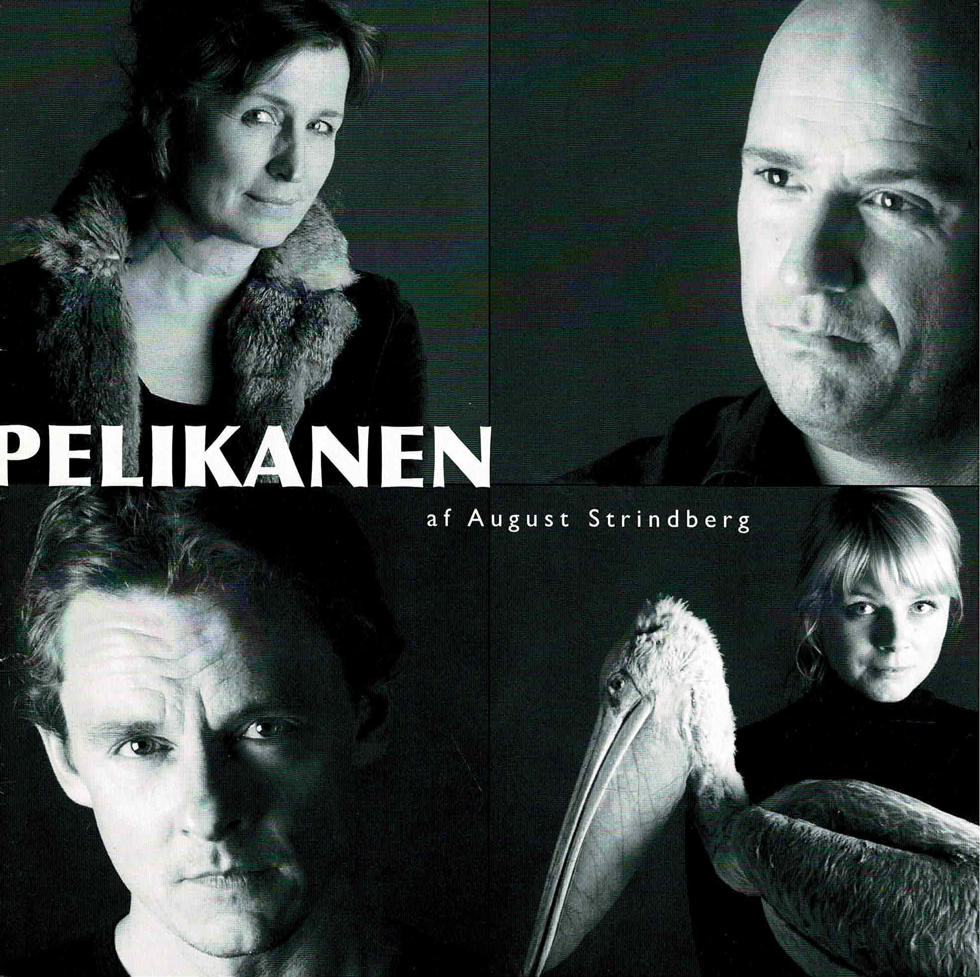 PELIKANEN 2004