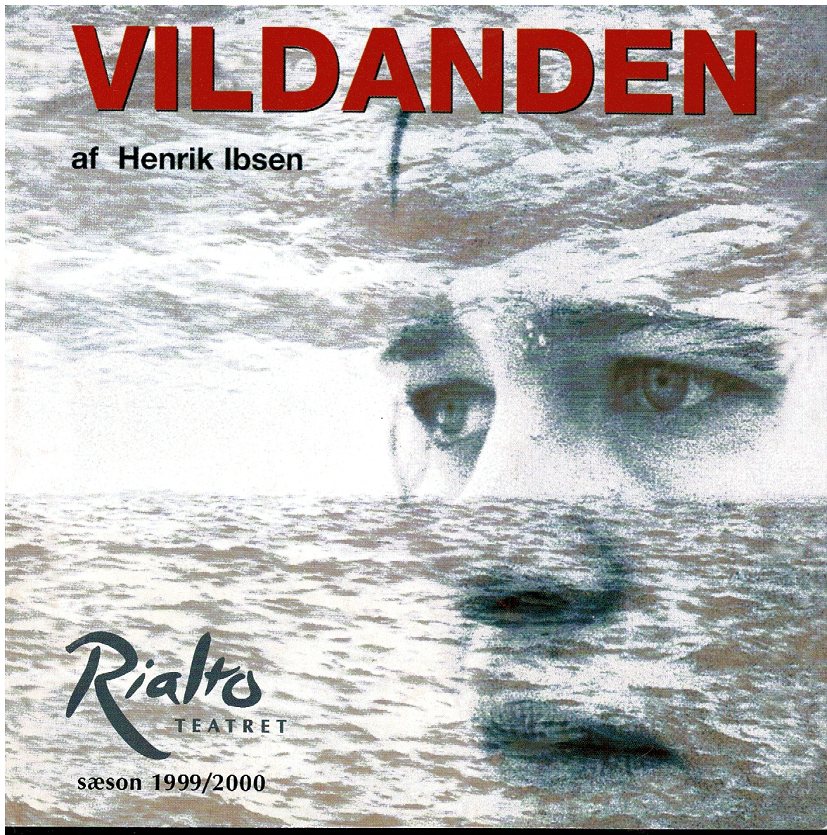 VILDANDEN 2000
