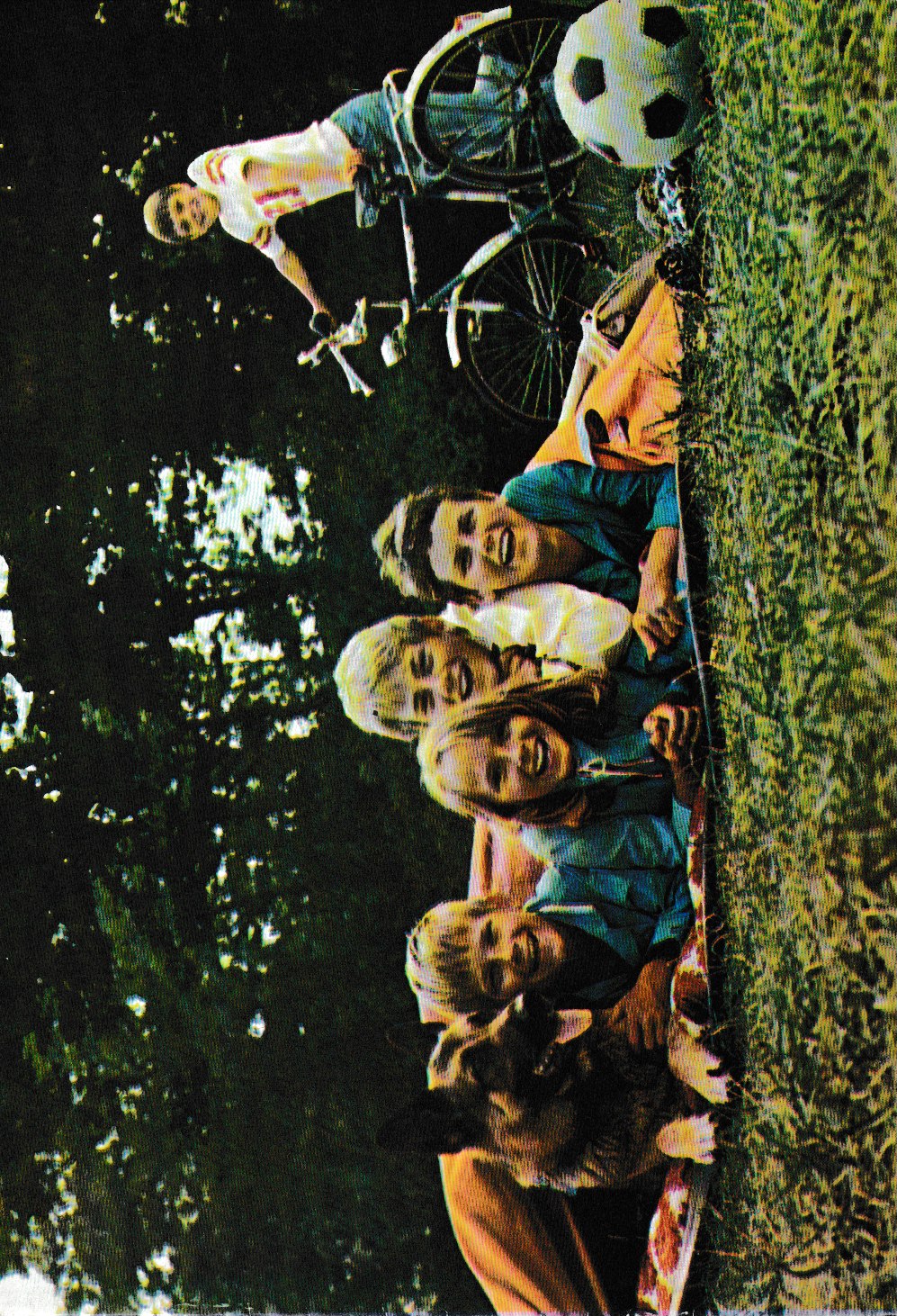 DE FEM I FEDTEFADET 1970 A4 (30 KR.)